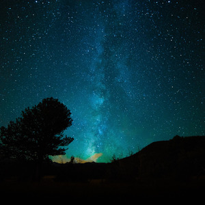 性A做爱大片毛片
